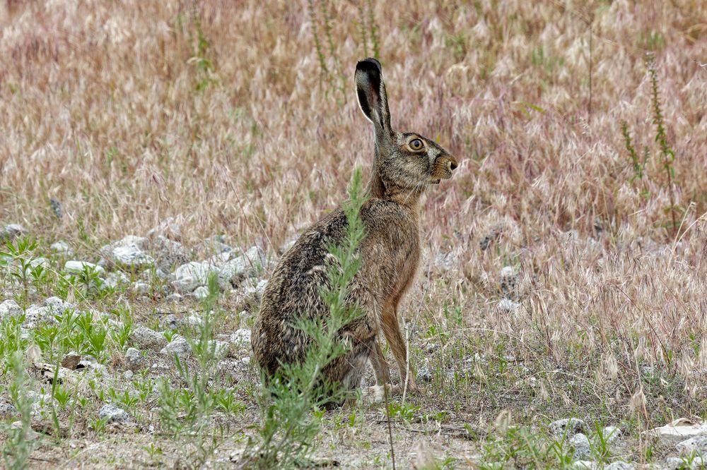 Photograph by Андрей Востриков