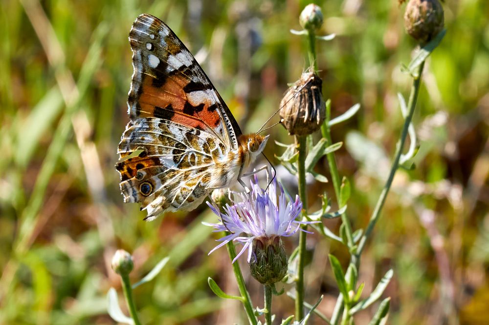 Photograph by Андрей Востриков
