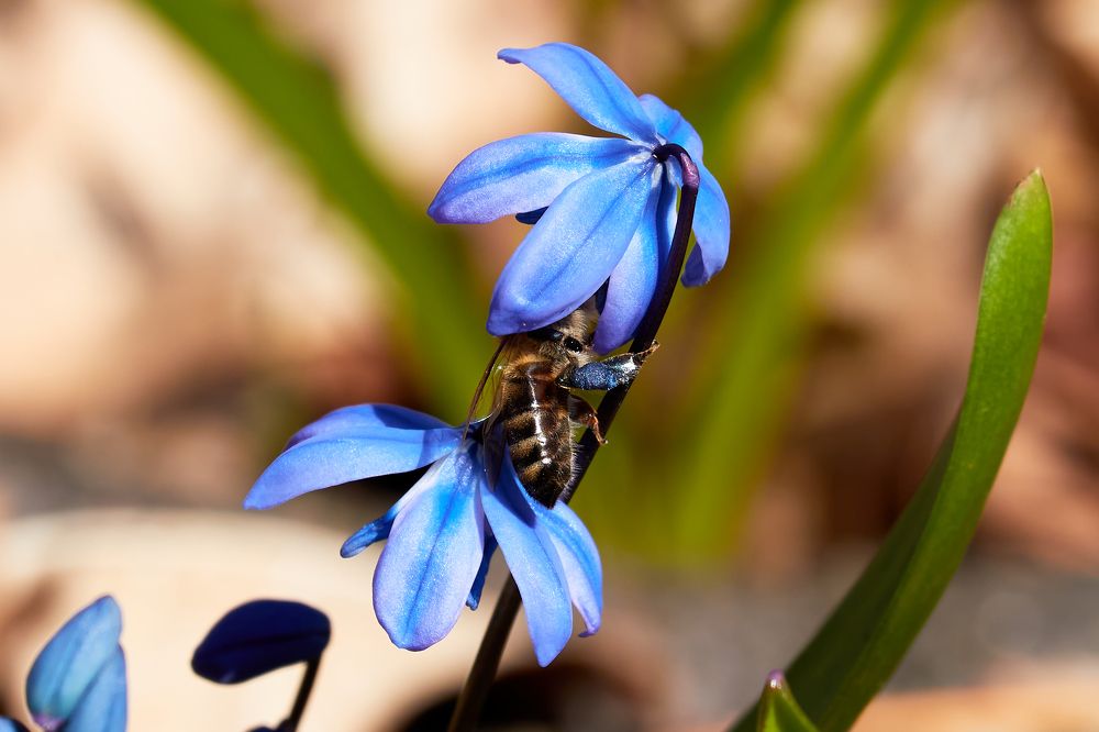 Photograph by Андрей Востриков