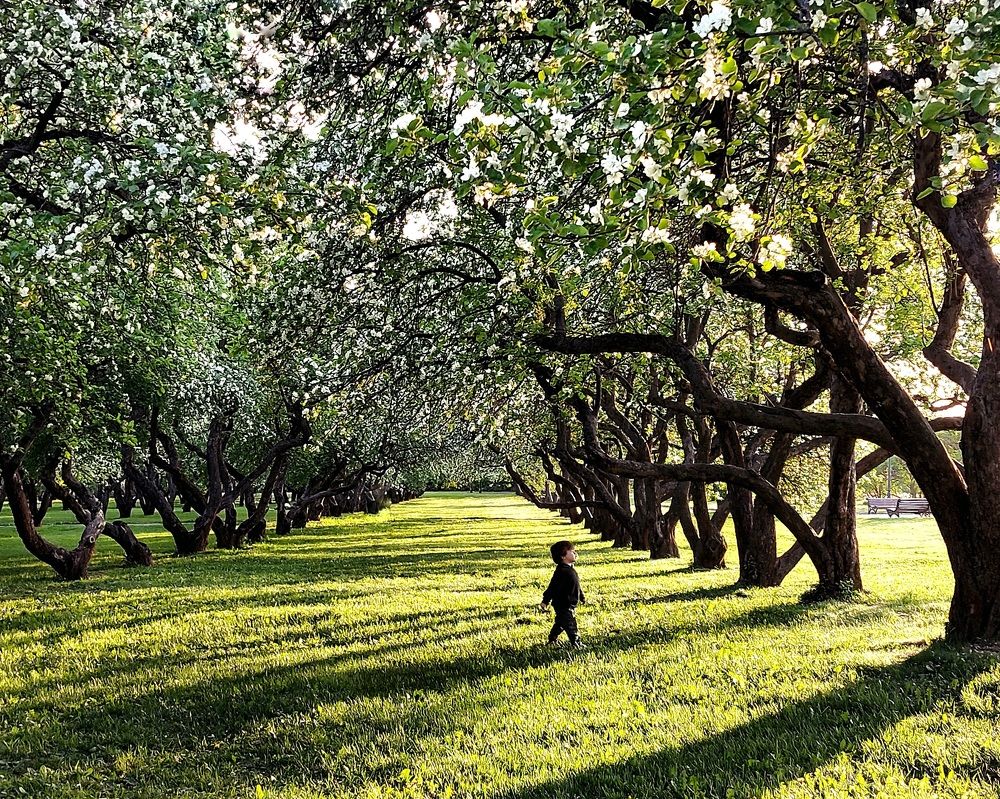 Photograph by Сергей Малашкин