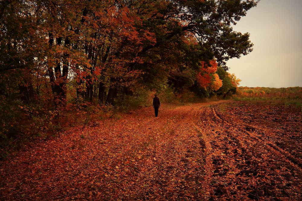 Photograph by Геннадий Натье (Игнатьев)