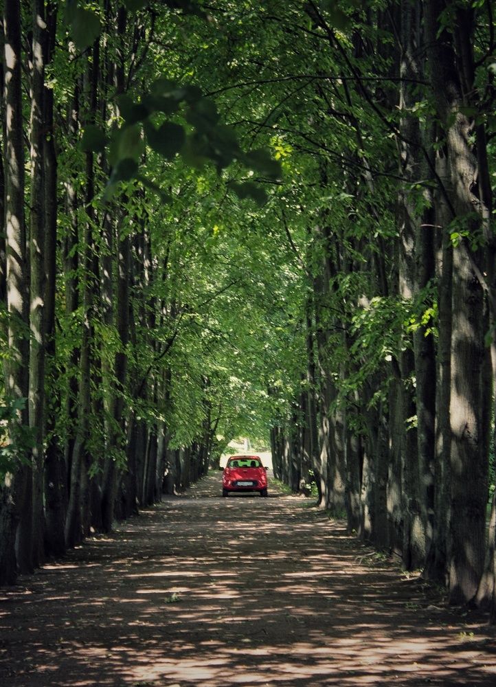 Photograph by Елена Силантьева