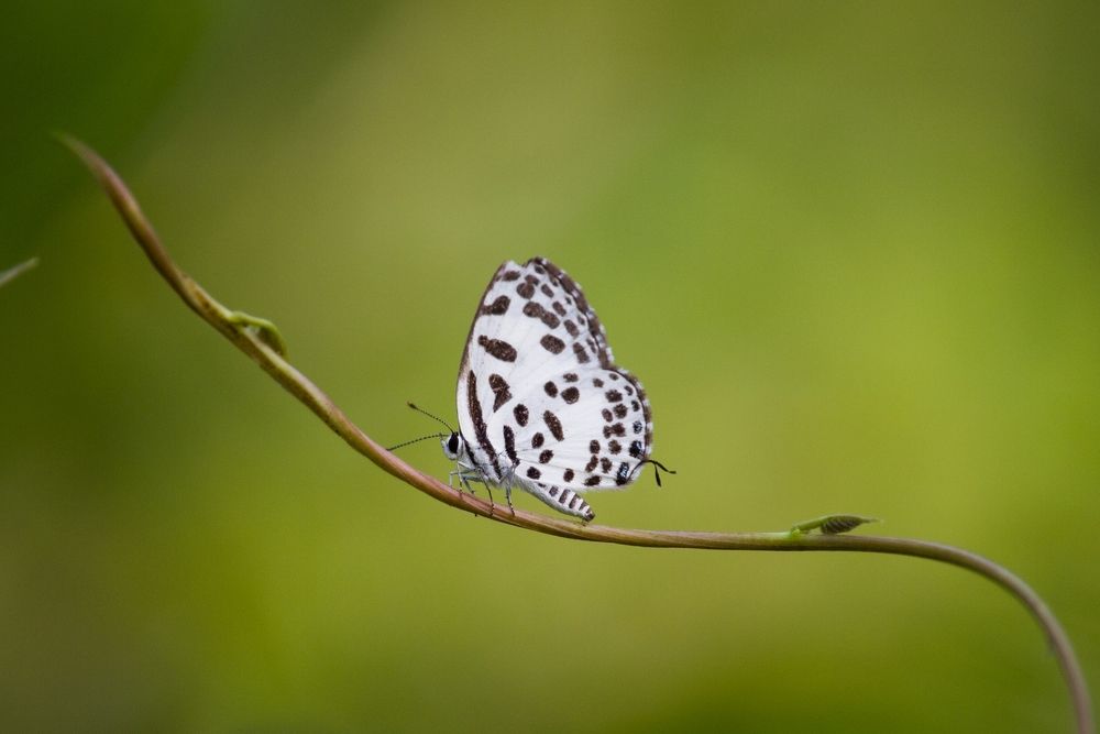 Photograph by Shadab Ishtiyak