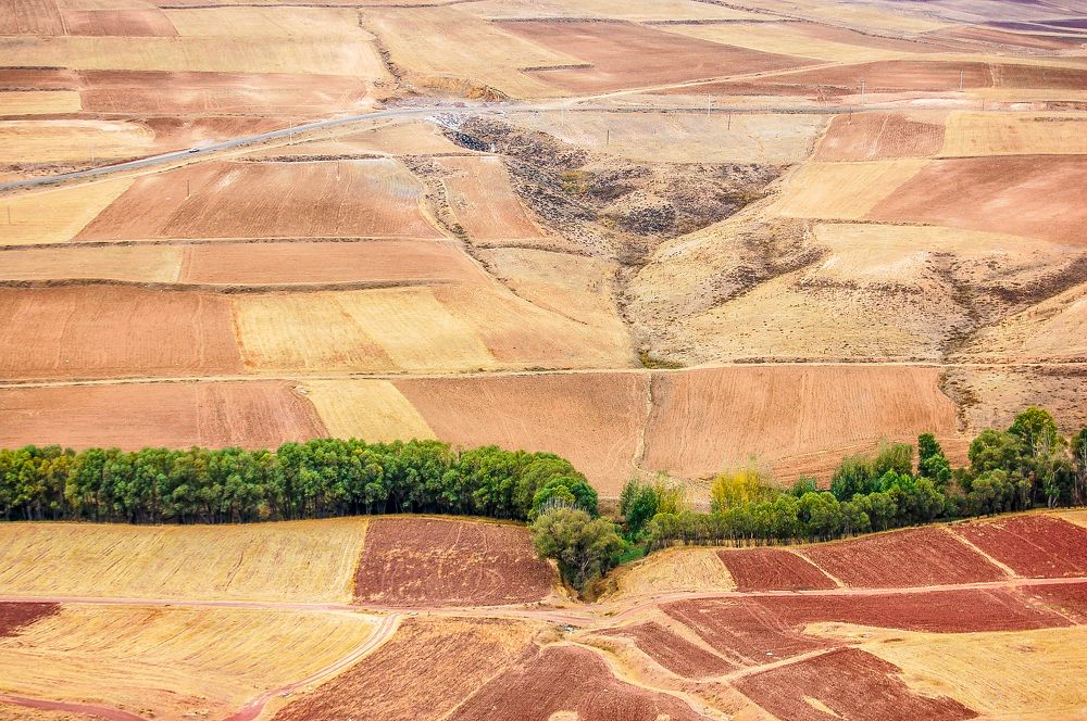 Abstraction in nature