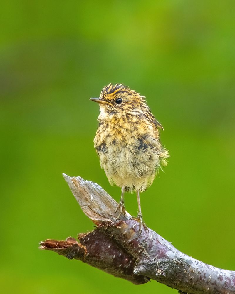 Photograph by Власов Егор