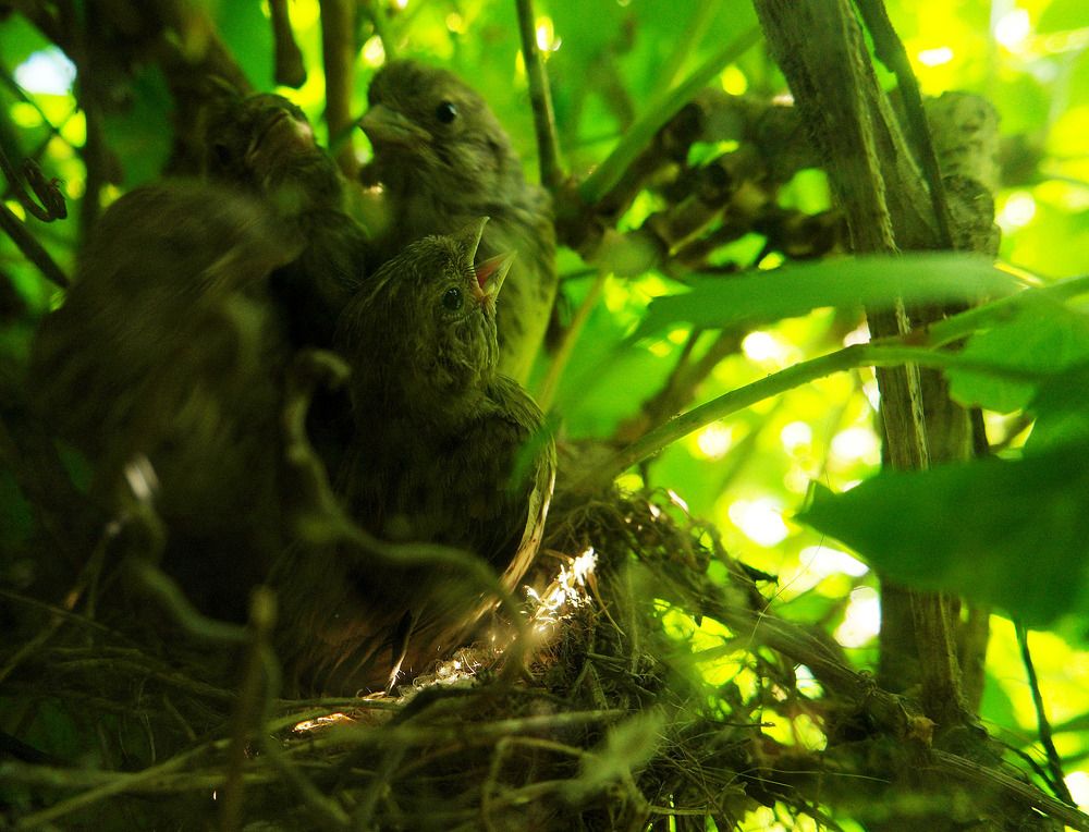 Photograph by Дмитрий Ткаченко