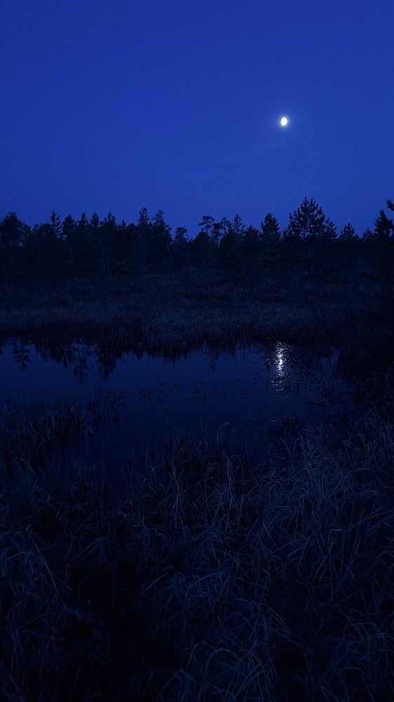 Photograph by Andrew Leshiy