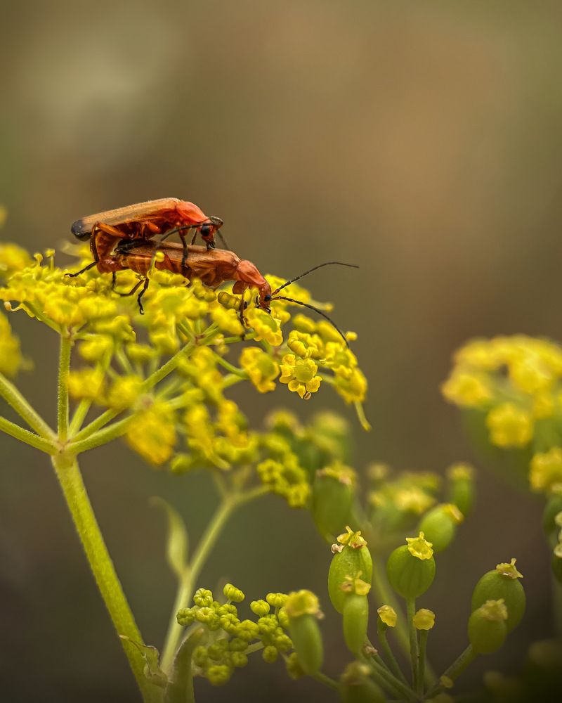 Photograph by Ольга Дорошенко