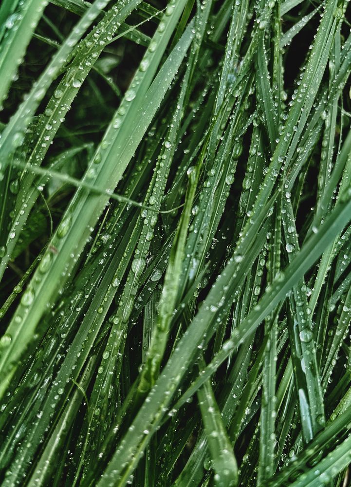 Photograph by Александра Морозова