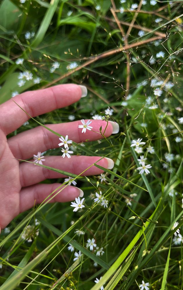 Photograph by Александра Морозова