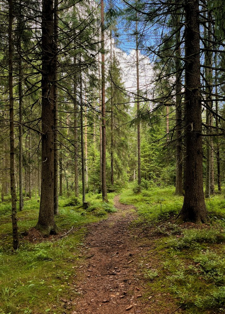 Photograph by Александра Морозова