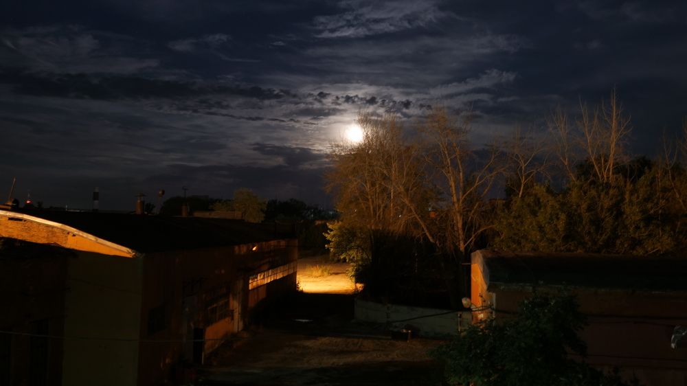 Photograph by Александр Линник