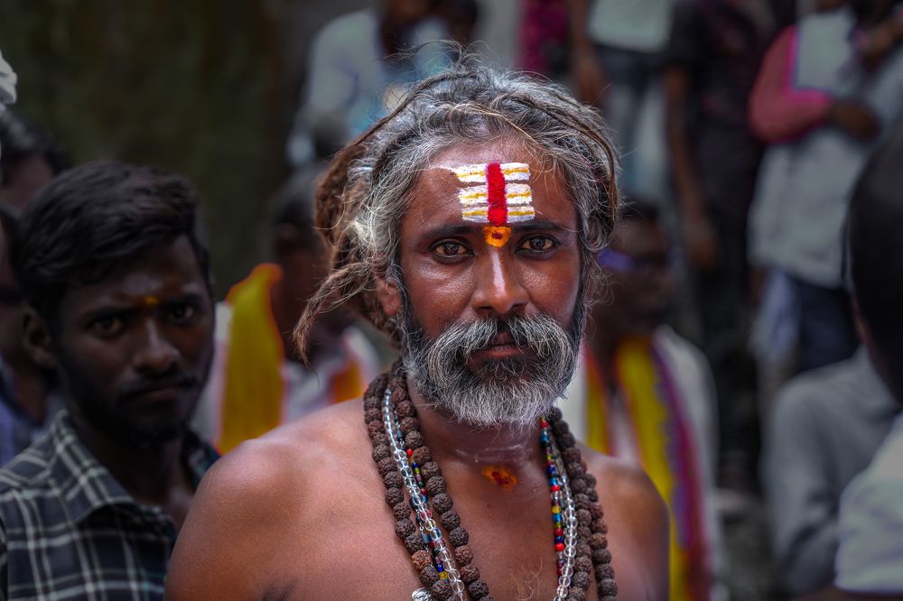 Фотография автора ANIL KUMAR DESHPANDE