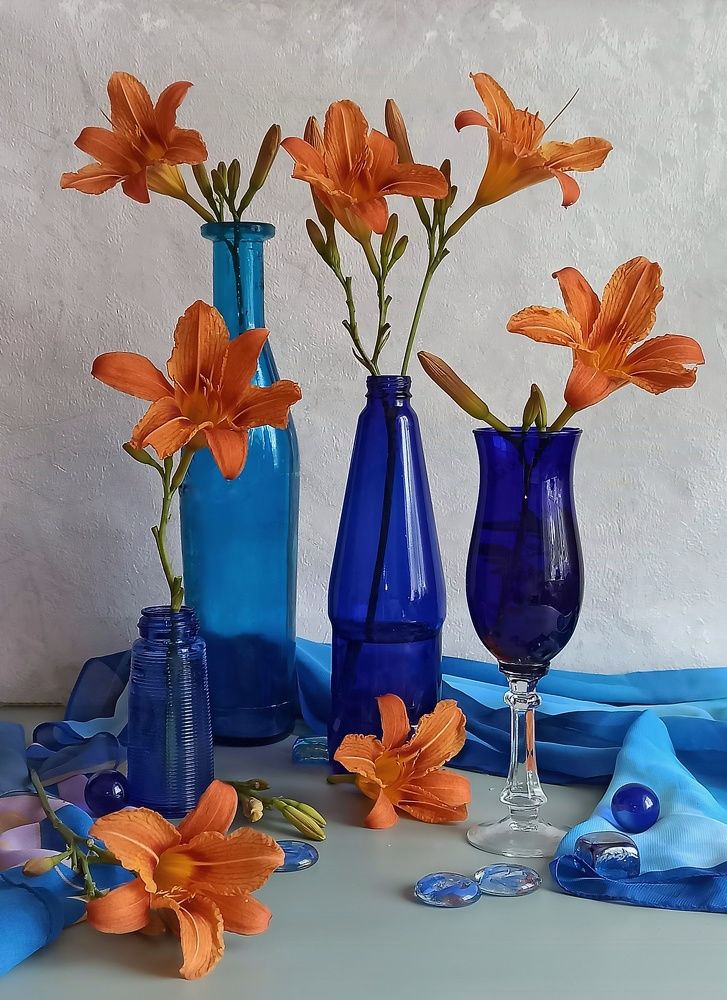 Лилейник в синем..