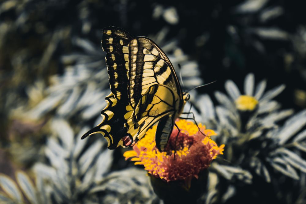 Photograph by Дмитрий Фадеев