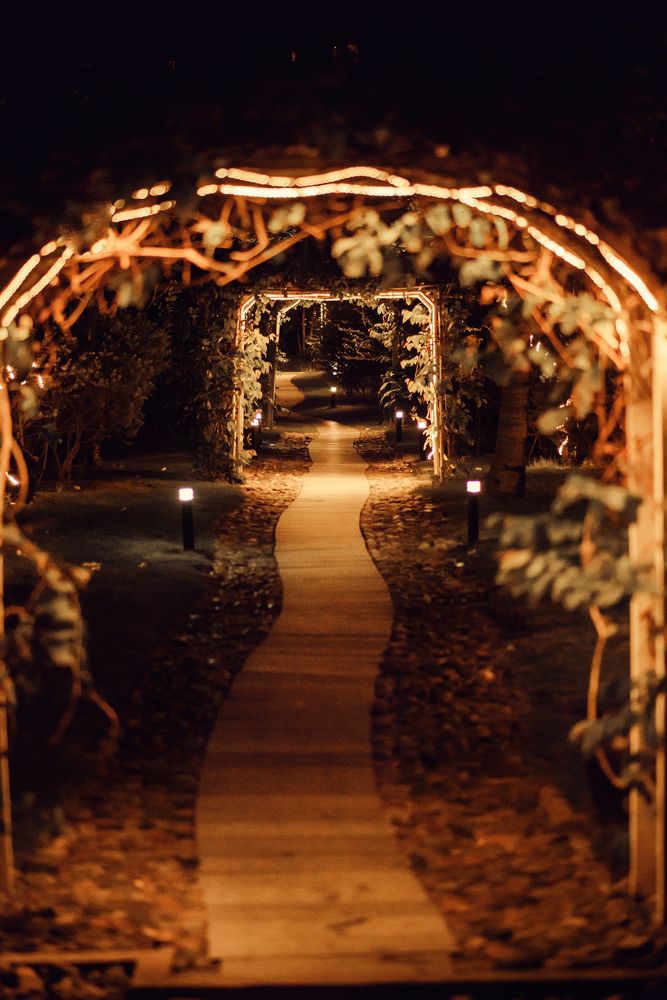 Ночь Вьетнама