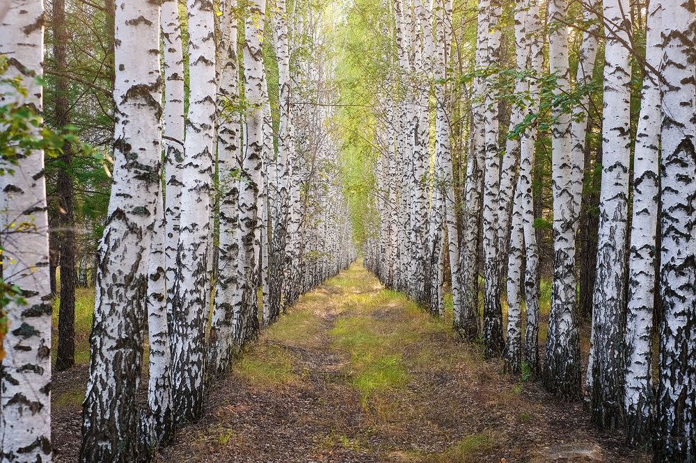 Photograph by Владислав Никишин
