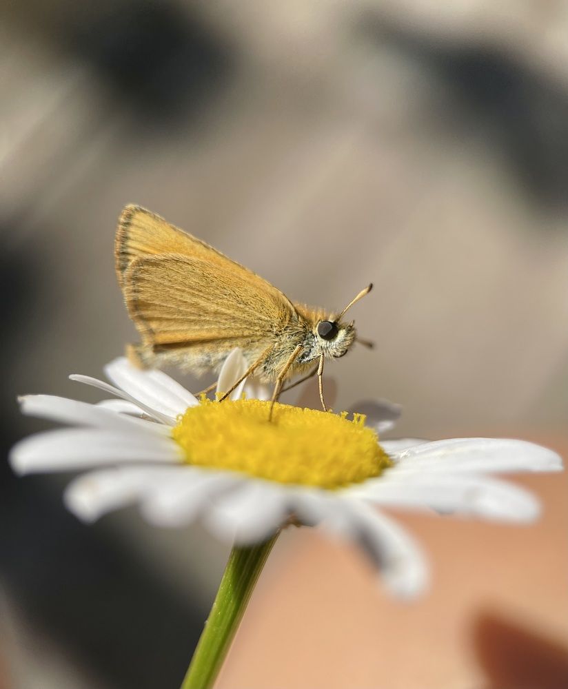 Photograph by Елена Красильникова