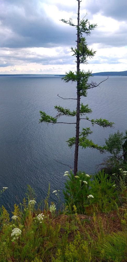 Photograph by Светлана Середина