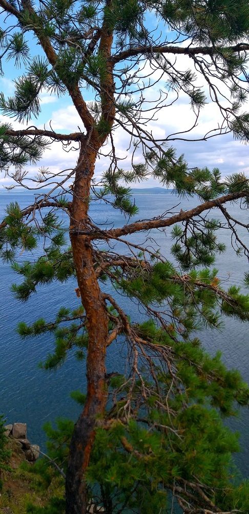 Photograph by Светлана Середина