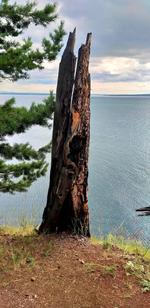 Photograph by Светлана Середина