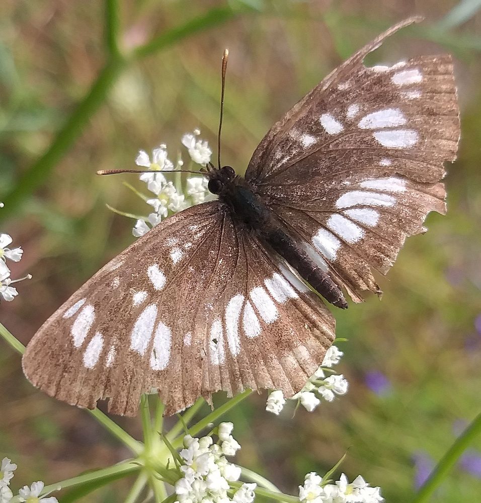 Photograph by Светлана Середина