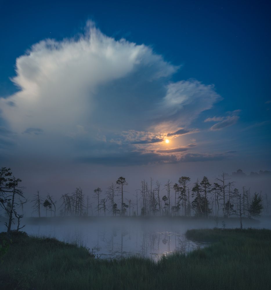 Photograph by Jānis Paļulis