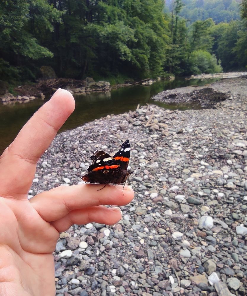 Photograph by Zeljka Miljic