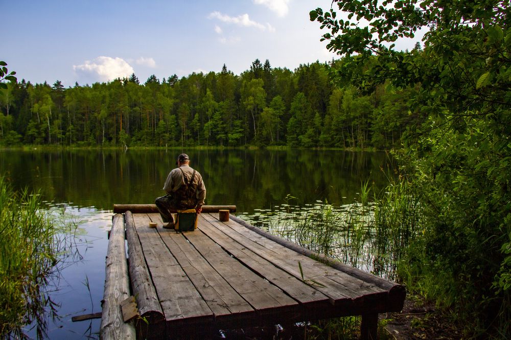 Photograph by Дмитрий Селицкий