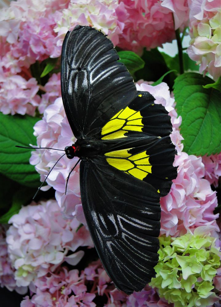 Photograph by Оксана Архипова