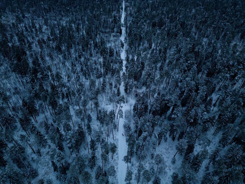 Территория Новая