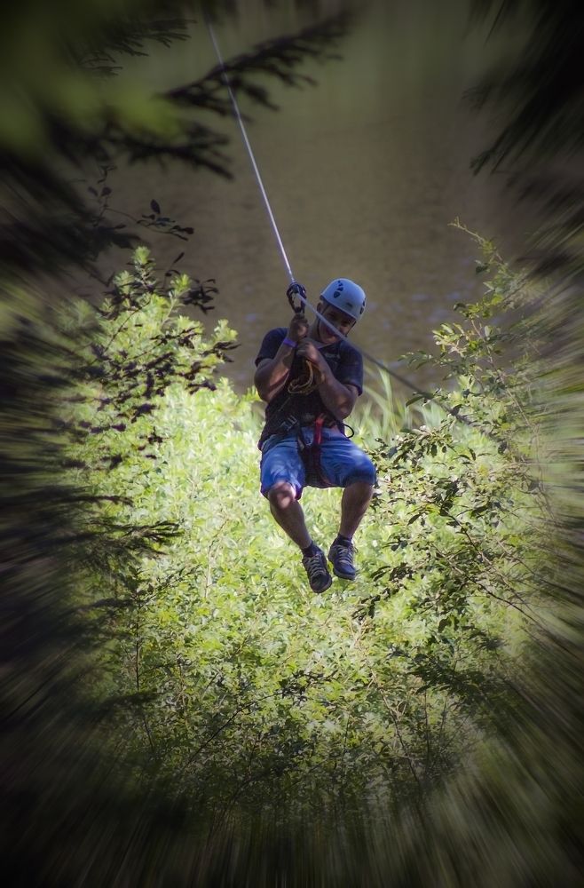 I fly among the trees