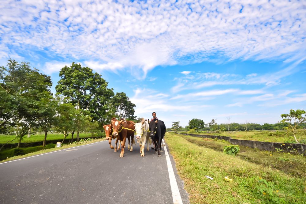 Photograph by Bikash Debnath