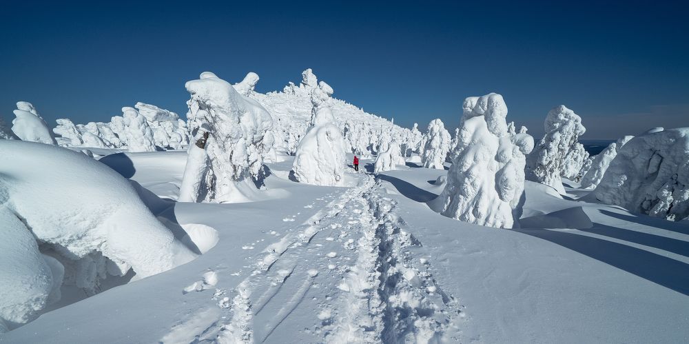 Photograph by Юрий Гаврилов