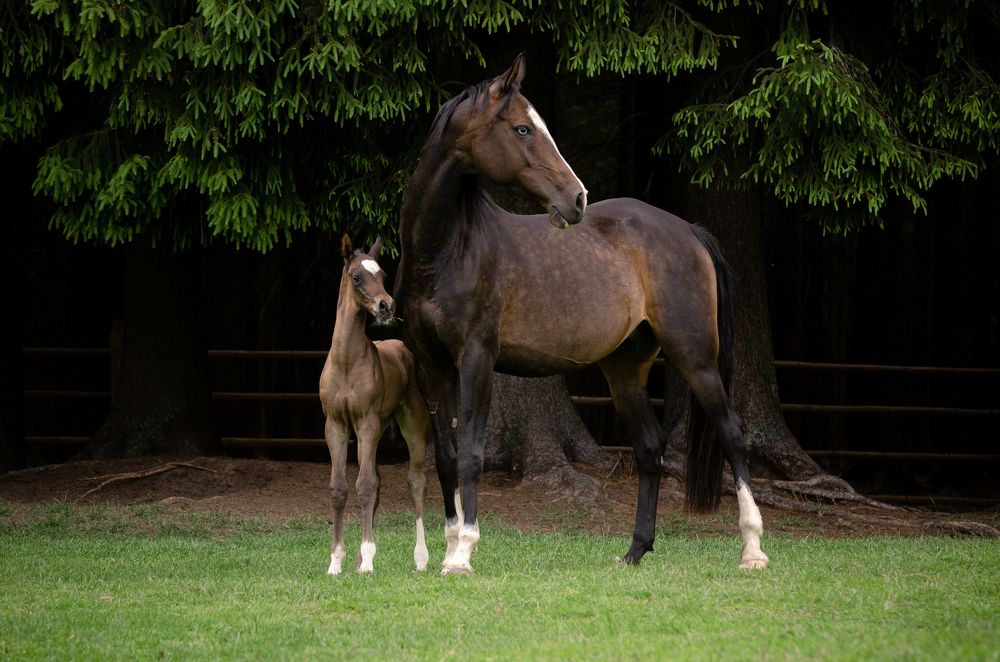 Photograph by Ксения Агаркова