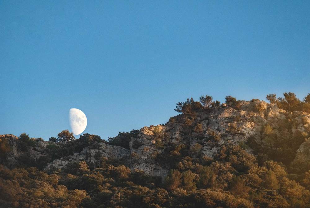 Photograph by Natalia Dronova