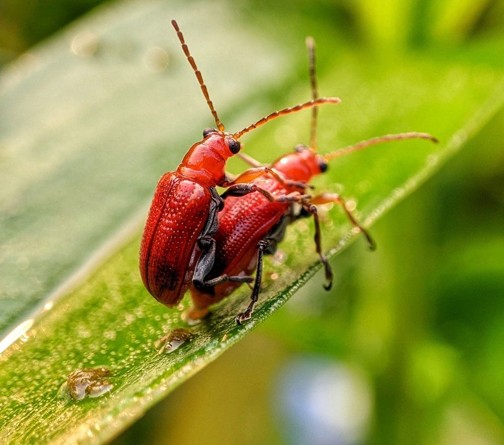 Photograph by Danish Tauqir