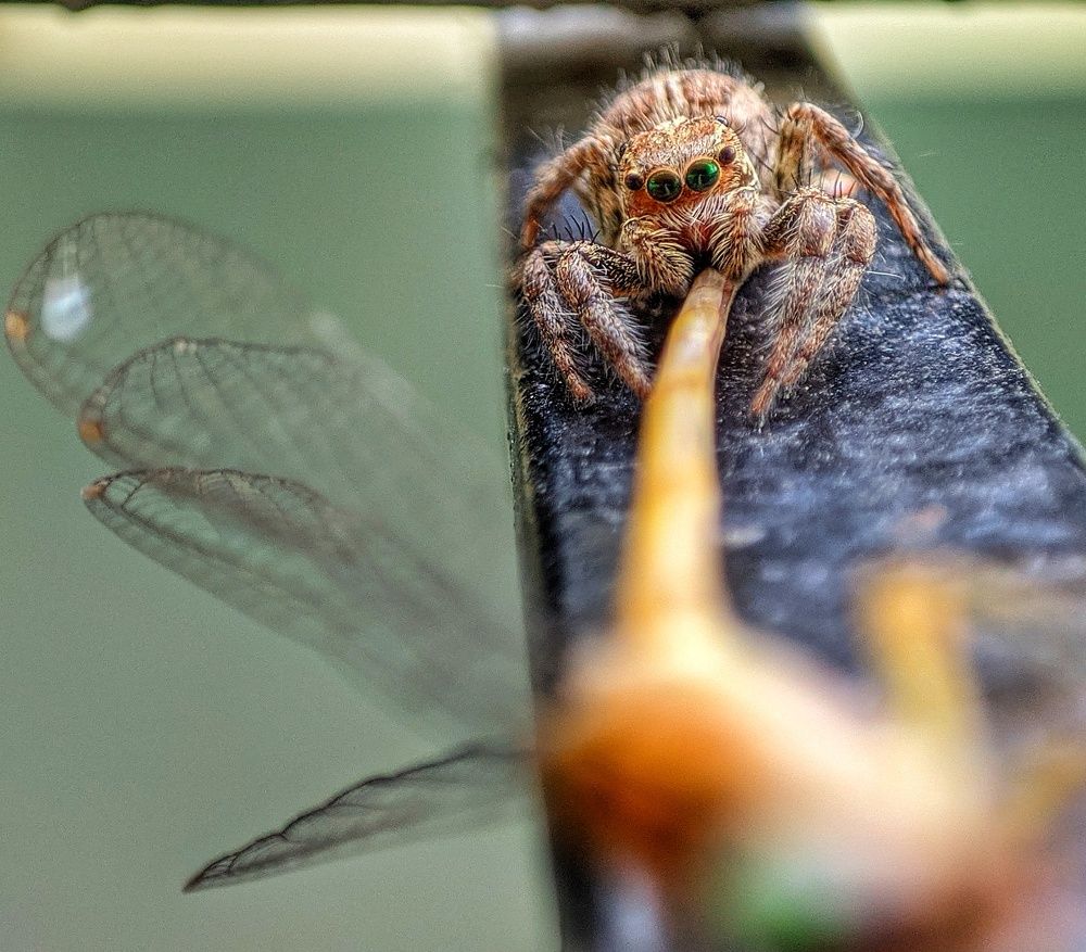 Photograph by Danish Tauqir