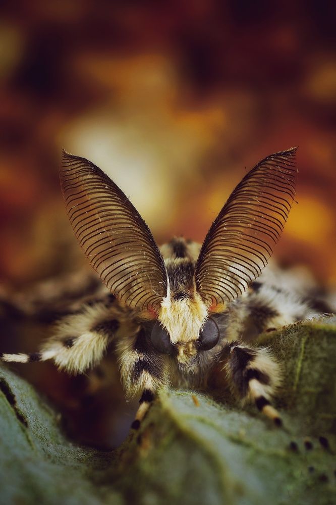 Photograph by Владимир Борозенец