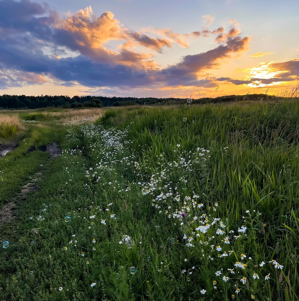 Photograph by Александра Пошехова
