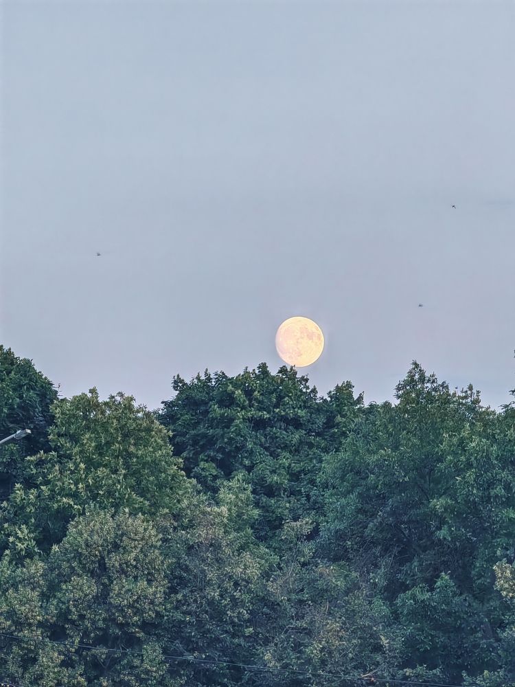 Photograph by Veranika Siratsinina