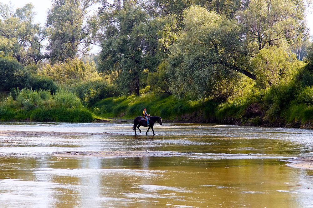 Photograph by Юрий Спасенников