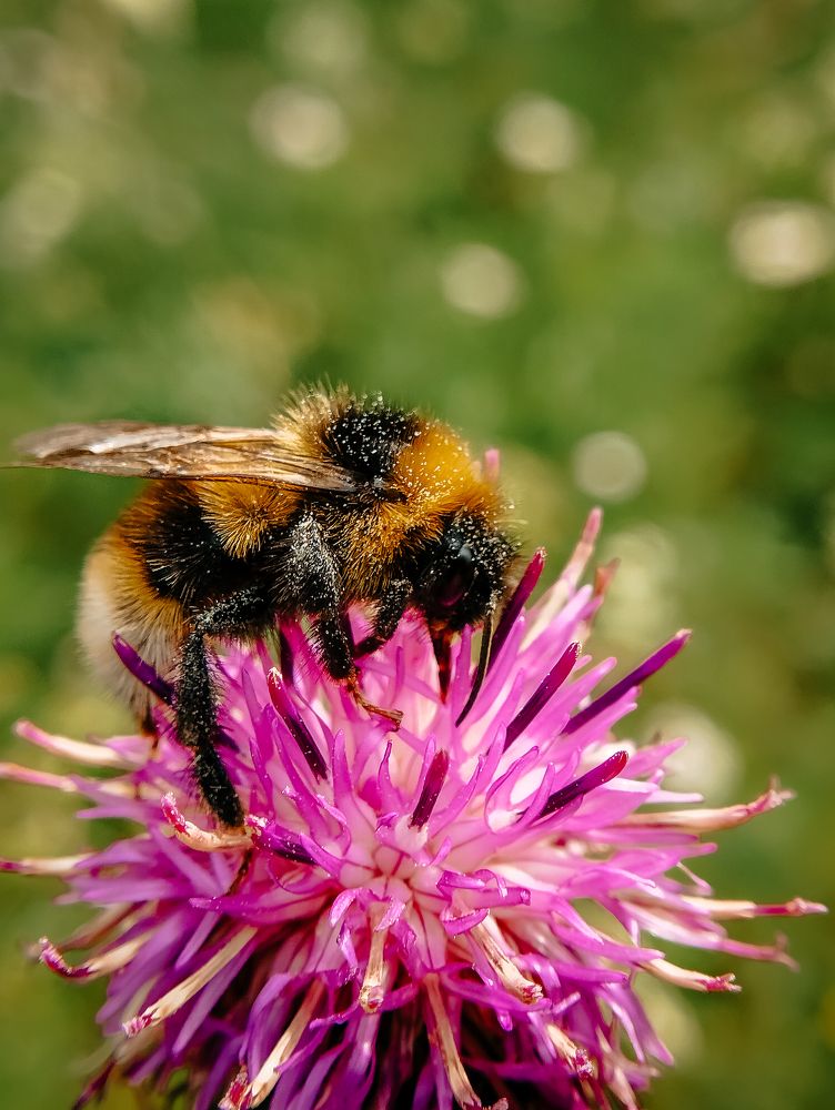 Photograph by Корчагина Оксана