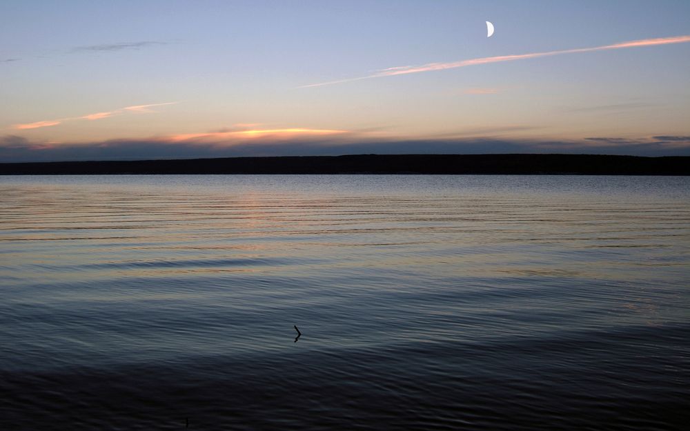 Photograph by Сергей Рудаков