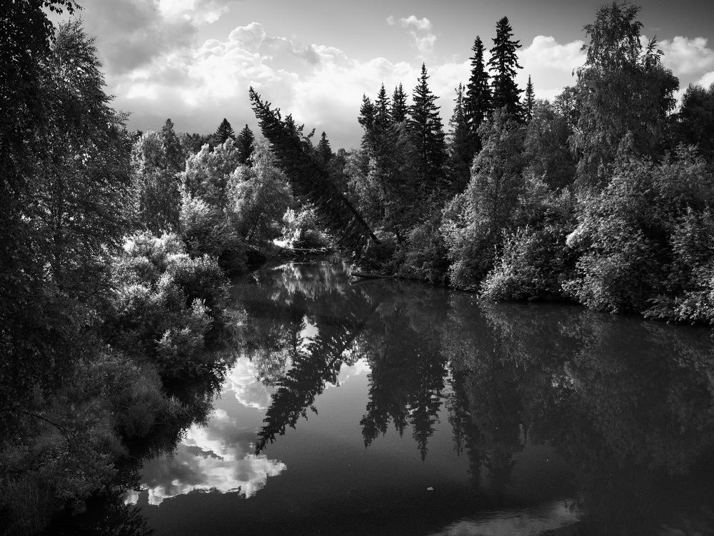 Photograph by Сильвестр