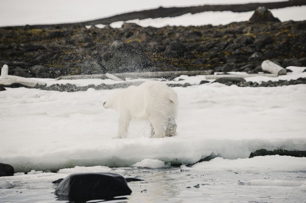 Photograph by Александр Малкин
