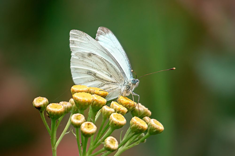 Photograph by Александр Соловьев