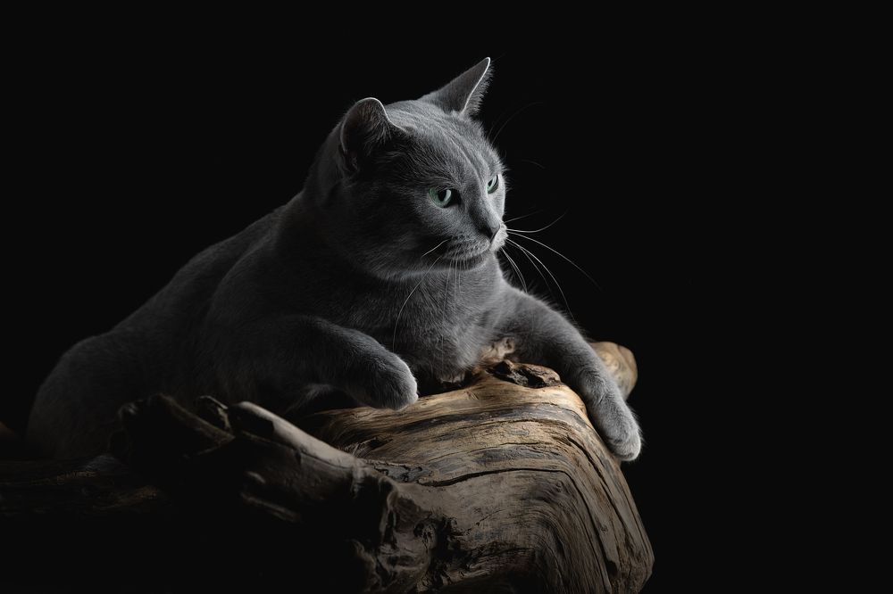 Photograph by Светлана Писарева