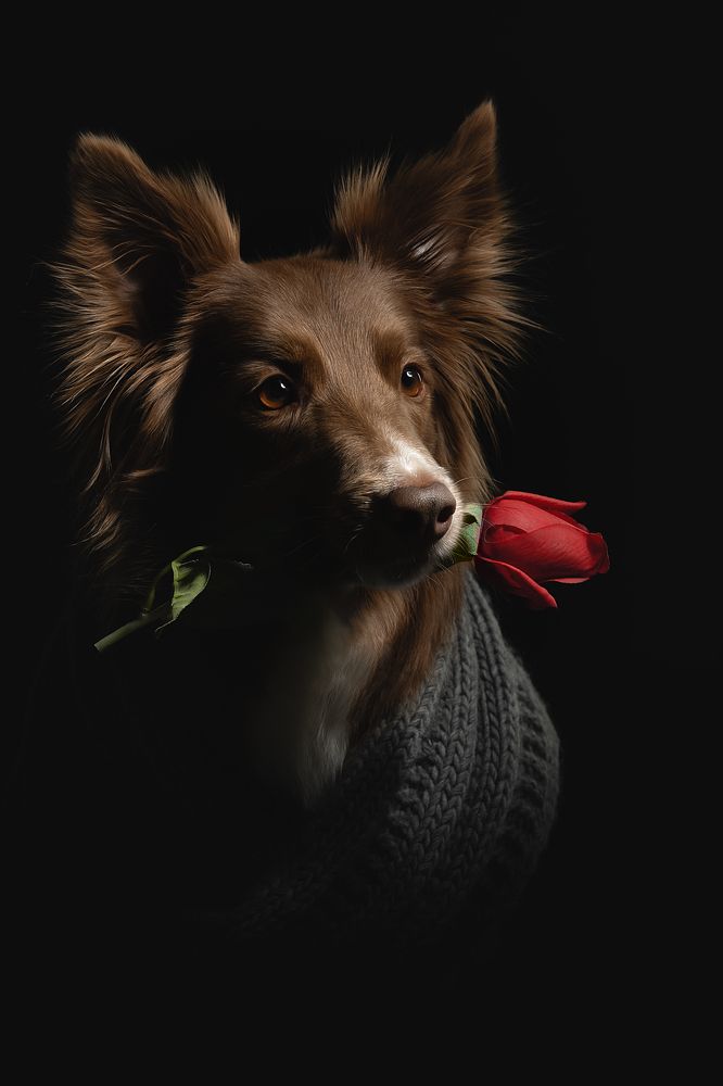 Photograph by Светлана Писарева