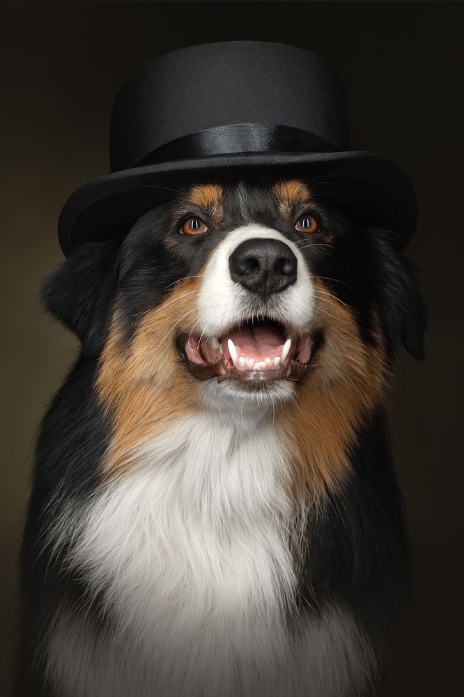 Photograph by Светлана Писарева